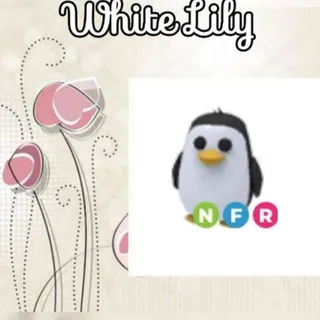 NFR Penguin