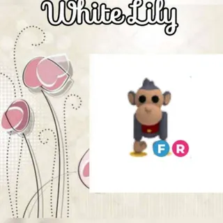 FR Toy Monkey