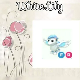 FR Winged Horse