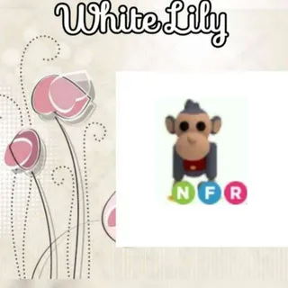 NFR Toy Monkey