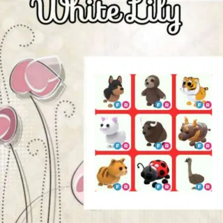 FR Pets Mix X9