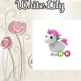 NR Unicorn