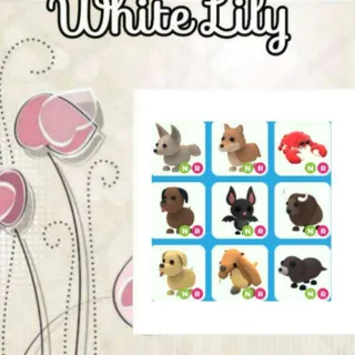 NR Pets Mix X9