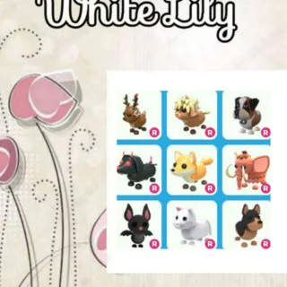Ride Pets X9