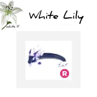 R Midnight Dragon