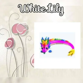 Rainbow Dragon