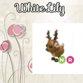 NR Gingerbread Reindeer