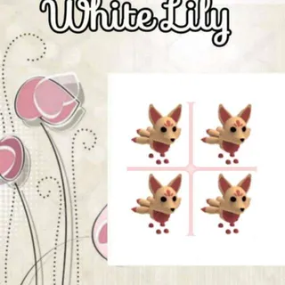 Kitsune X4