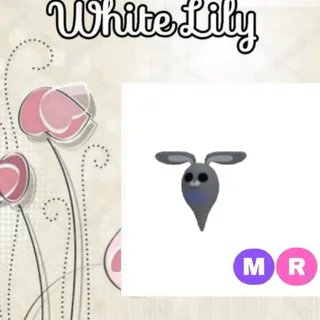 MR Ghost Bunny