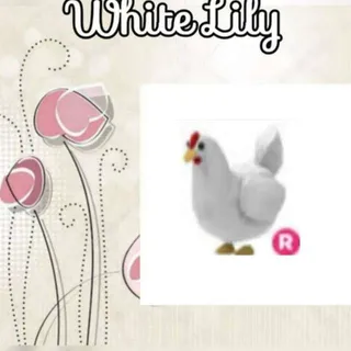 R Chicken