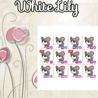 Mega Mouse Mix X22