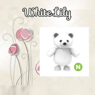 N Polar Bear