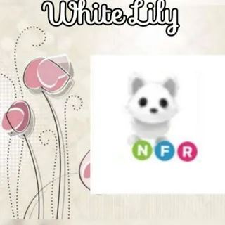 NFR Arctic Fox