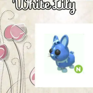 Neon Water Rabbit