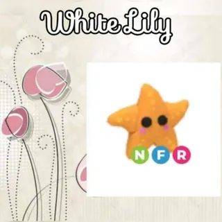 NFR Starfish