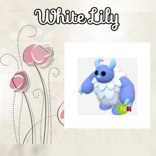 NR Yeti