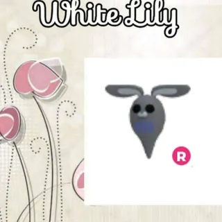 R Ghost Bunny