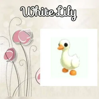 Goose