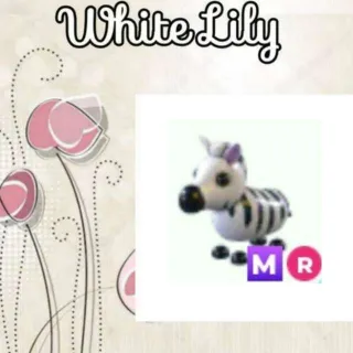 MR Zebra
