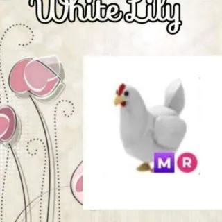 MR Chicken