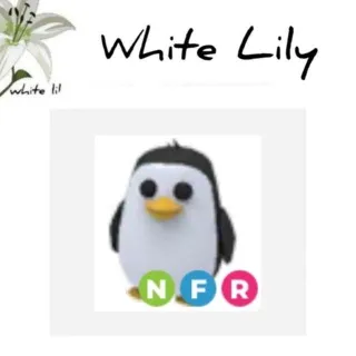 NFR Penguin