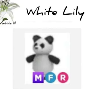 MFR Panda