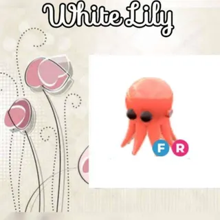 FR Octopus