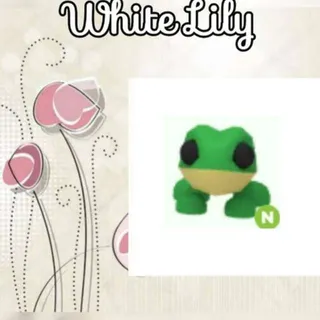 N Frog