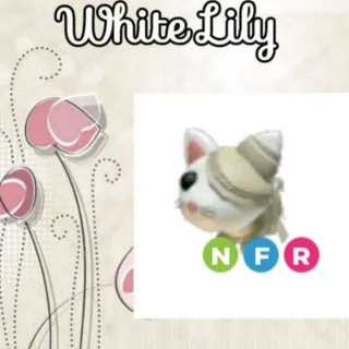 NFR  White Mummy Cat