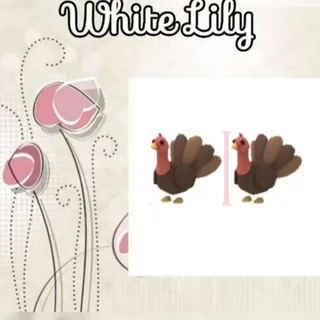Turkey X2