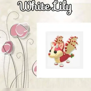 Strawberry Bat Dragon