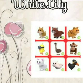 Neon Pets Mix X9