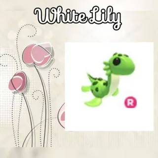 R Nessie