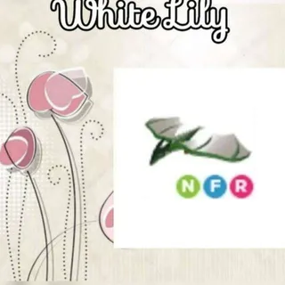 NFR Wyvern