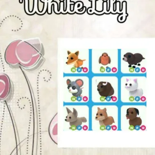 NFR Pets X9