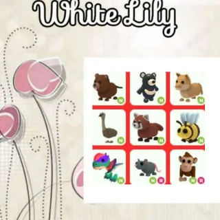 Neon Pets Mix x9