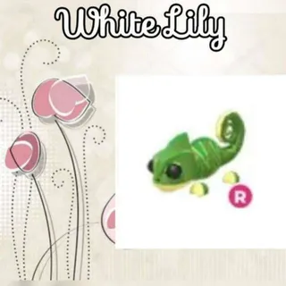 R Chameleon