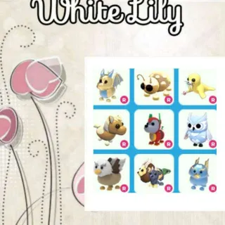 Ride Pets Mix X9