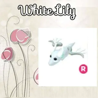 R Ghost Dragon
