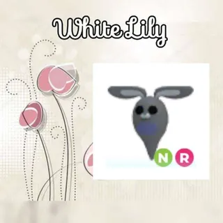 NR Ghost Bunny