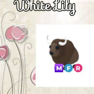 MFR Buffalo