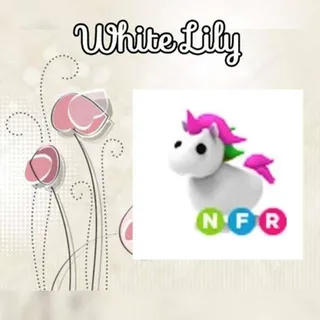 NFR Unicorn