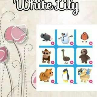 Ride Pets Mix X9