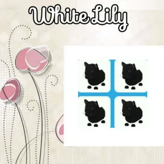 Black Panther X4 (1xR . 3xNopot) 