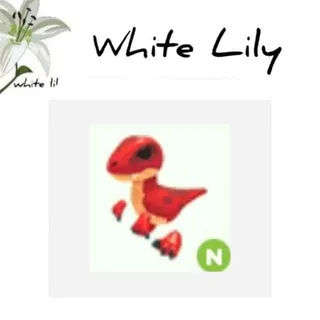 N Velociraptor