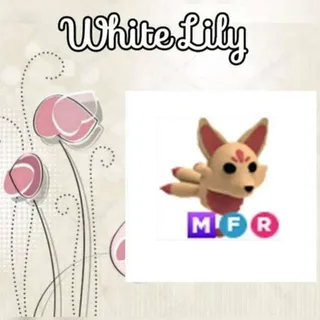 MFR Kitsune