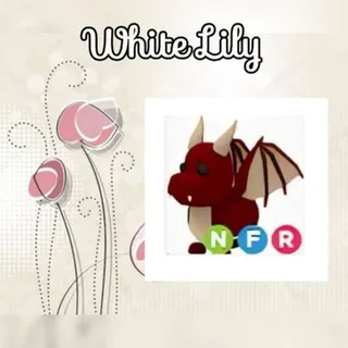 NFR Dragon