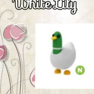 N Silly Duck