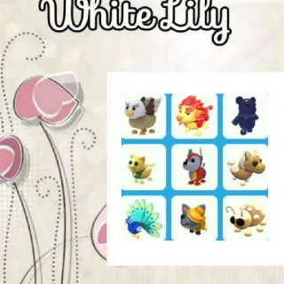 Pets Mix X9