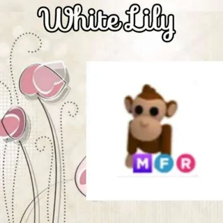 MFR Monkey